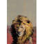 «Bonjour Lion», reproduction sur toile tendue-27175441