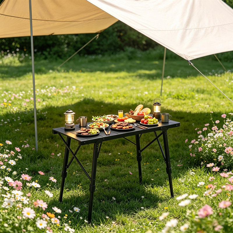 Table de camping robuste, table pliable, table portable avec deux hauteurs réglables