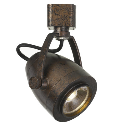 LED Adjustable Track Head