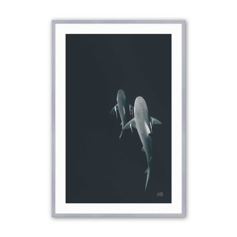 Imprimé Serene Shark Shadows, H 11,25 po x l 9,25 po, Argent