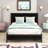 Horstfried Platform Storage Bed-1613784751