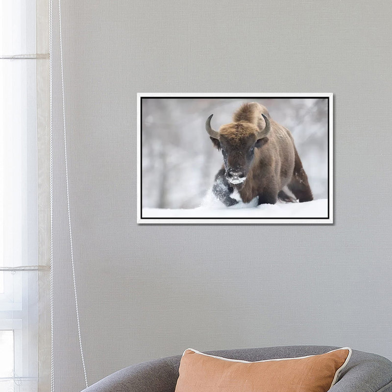 Rewilded by Sebastian Mastahac - Print on Canvas, White Floater Framed, 45.72cm H x 66.04cm W x 3.81cm D