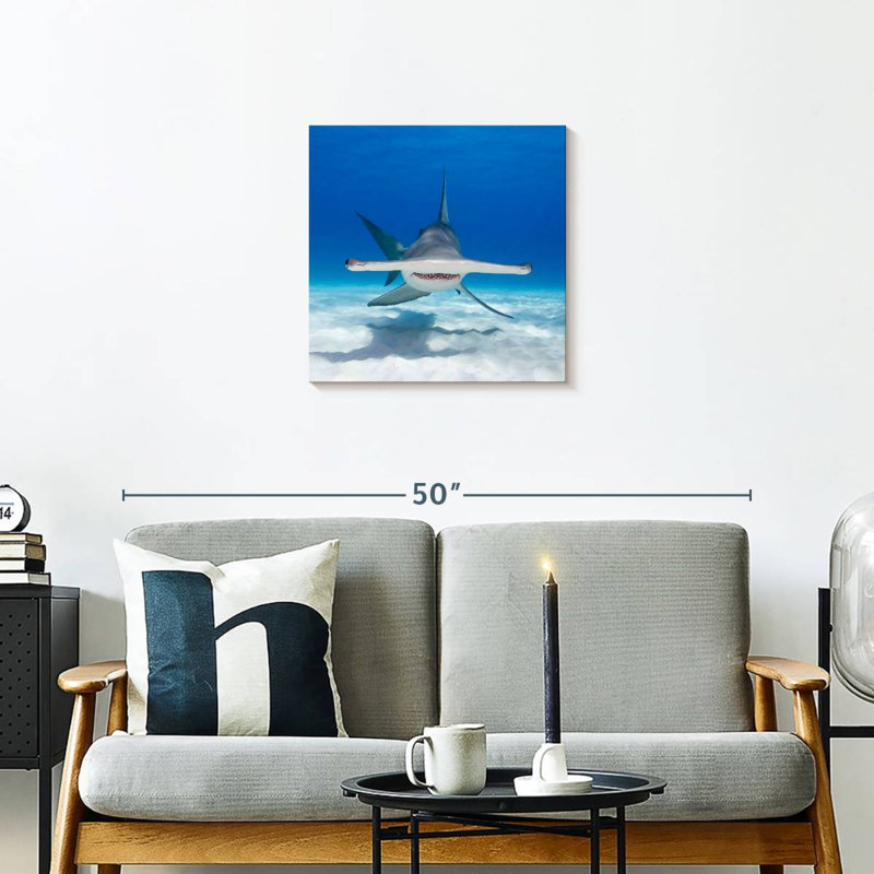 Albern Hammerhead Shark Swimming, 20" H x 20" W