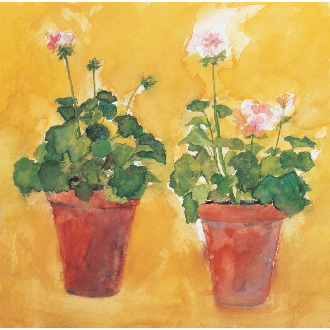 Leinwandbild Pelargoniums von Michael Clark