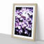 Lilac Hydrangeas - Picture Frame Painting Print-55582571-55582572
