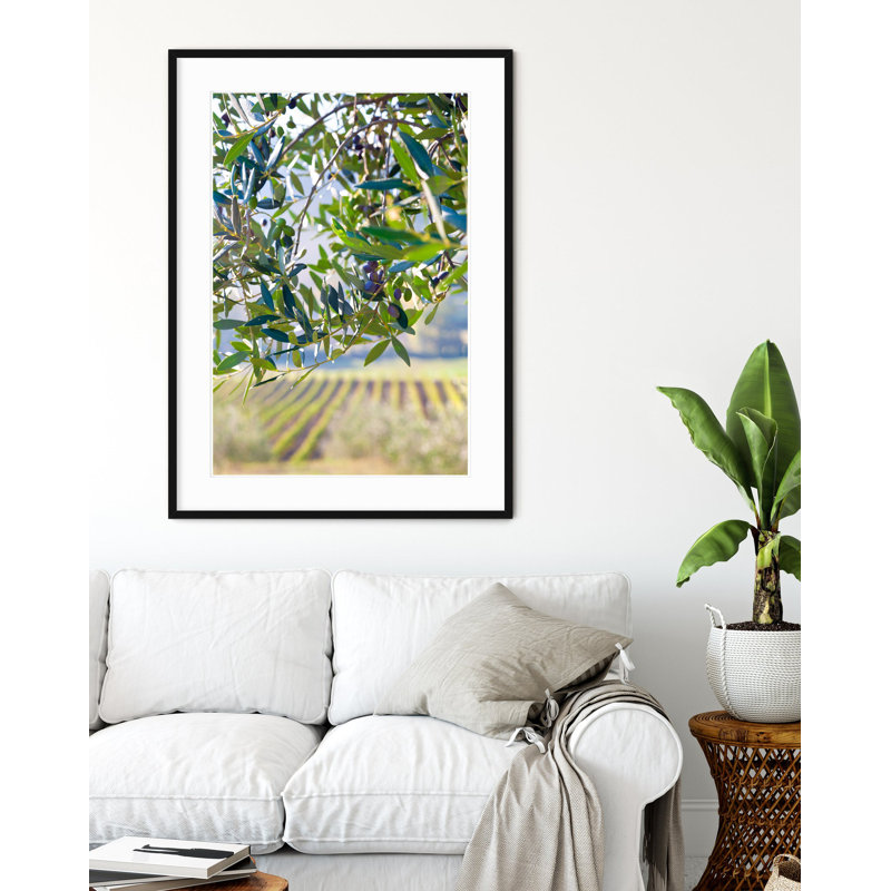 Olives and Vines - Picture Frame Photograph on Paper, Black Framed, 47" H x 33" W