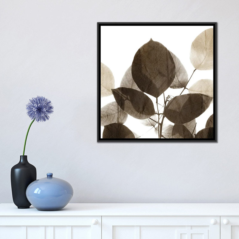 «Chocolate Leaves I» par - Toile tendue, Toile avec cadre noir, H 18 po x l 18 po x P 1,5 po