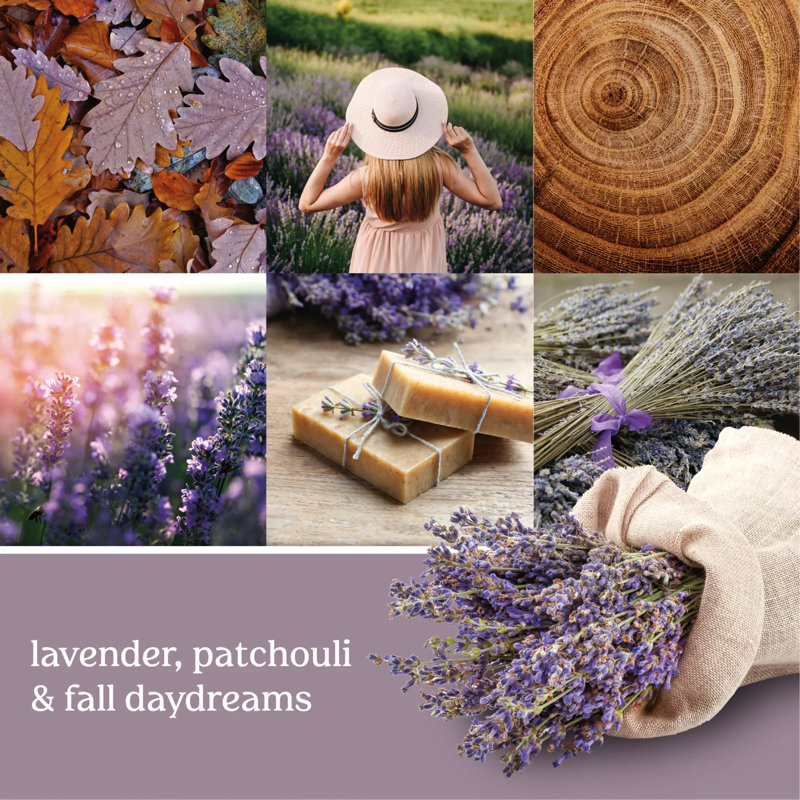 Dried Lavender & Oak Scented Small Soy Tumbler Candle