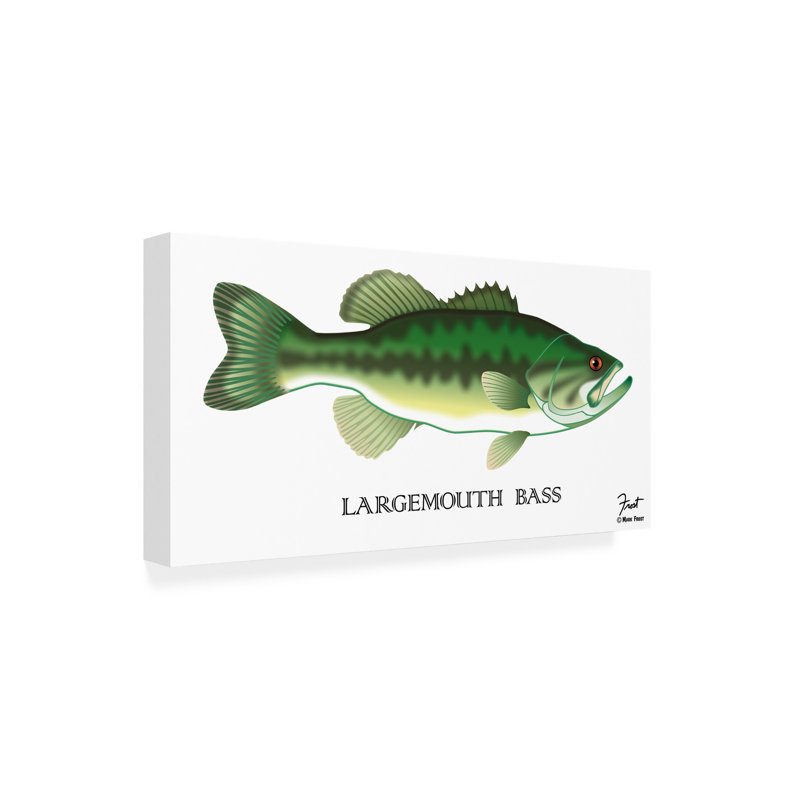 «Largemouth Bass» par Mark Frost, impression sur toile tendue, H 24 po x l 47 po