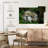 Alvord Rainforest River Waterfall-108888824