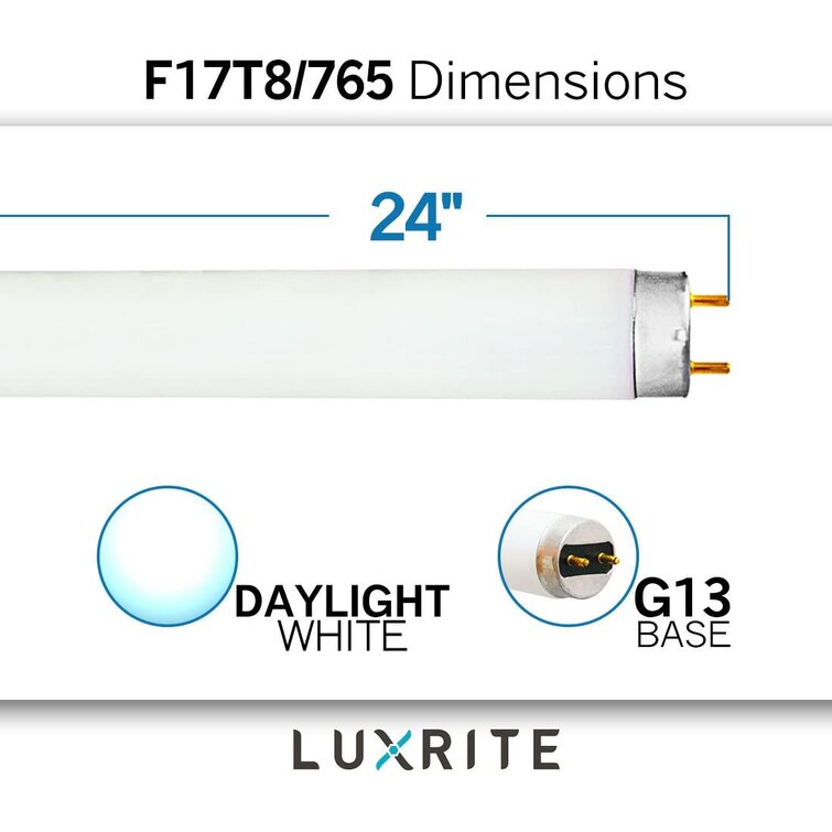 Luxrite 30-Pack F17t8/765 17W 24 inch T8 Fluorescent Tube 6500K Daylight White 1350 Lumens G13 Medium Bi-Pin Base, Other