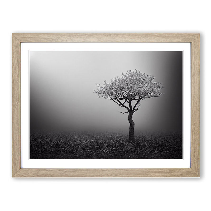 Lonely Tree - Single Picture Frame Print, 34cm H x 46cm W x 2cm D, Oak