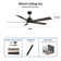 Liandro 60'' Ceiling Fan with Light