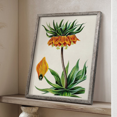 AntiqueFloralFolioVII, reproduction encadrée - bois massif