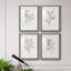 Simple Sprig I - ensemble de 4 reproductions de cadres photo-2075732645-2075732655