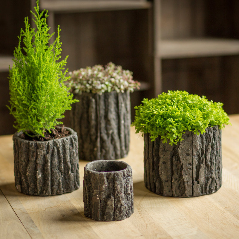 Pot à fleurs en béton Calabro, H 4,75 po x l 5,5 po x P 5,5 po