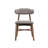 Coral Upholstered Solid Wood Dining Chair Set (2-Piece, Modern Comfort Design)-2033125574