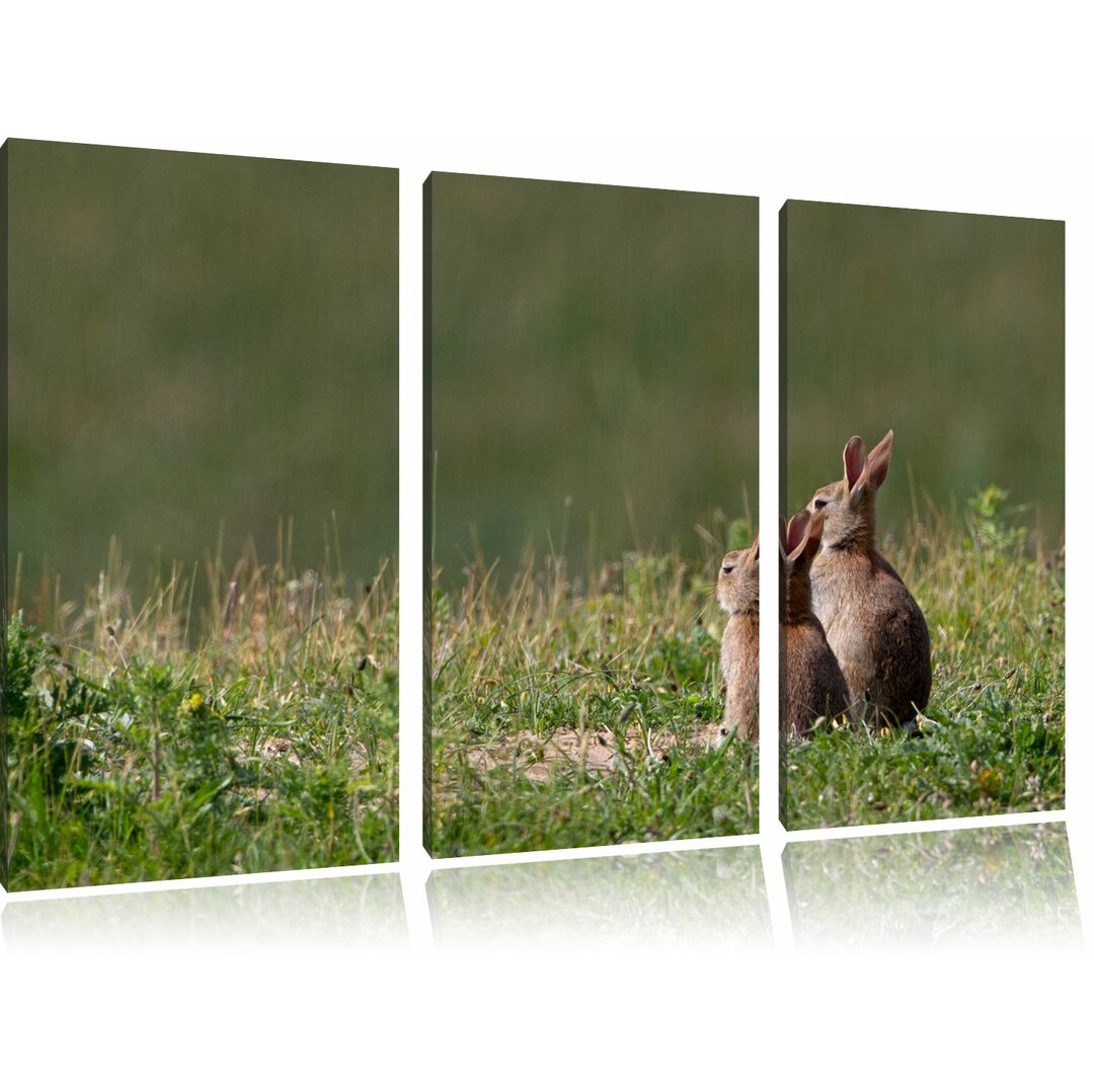 3-tlg. Leinwandbilder-Set „Zwei Häschen auf Frühlingswiese“, Fotodruck