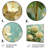 Vintage Beige Hydrangea Petite Blooms II - Hydrangea Wall Decor-718050151-718050148