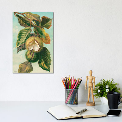 Tree Branch With Fruit II by Stellar Design Studio - Gallery-Wrapped Canvas Giclée on Canvas