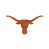 Université du Texas à Austin