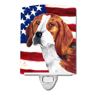 Drapeau américain avec éclairage en céramique terrier fox american