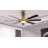 Antoinesha Ceiling Fan with LED Lights-106413413-104246691-116039338