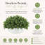 Faux Boxwood Plant in Ceramic Pot-2113066378