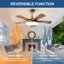 Ventilateur de plafond moderne en noyer de 46 po à 5 pales avec lumière DEL et télécommande, 6 vitesses, flux d'air réversible, éclairage à intensité variable, réglable en hauteur, silencieux pour le salon-1397807862