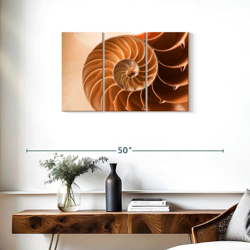 Aletra Nautilus Shell Inside, 20" H x 33" W