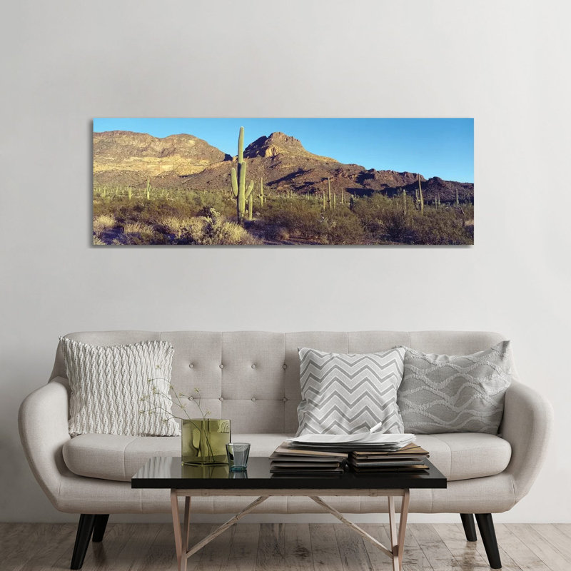 Cactus In A Desert, Organ Pipe Cactus National Park, Arizona, USA by Panoramic Images - Wrapped Canvas Panoramic Print