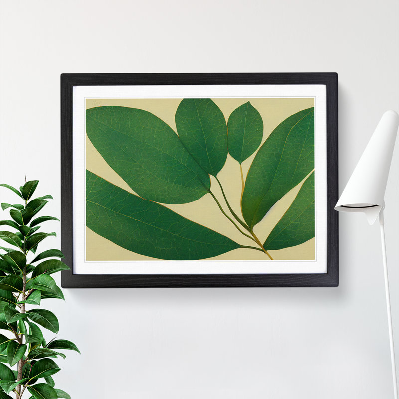 Picturesque Leaf - Single Picture Frame Print, Black Framed, 46cm H x 64cm W x 2cm D