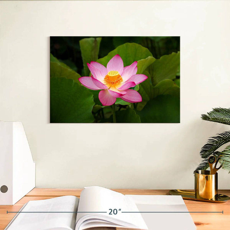 Fresh Lotus Flower, 8" H x 12" W
