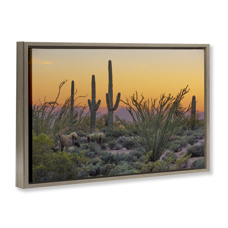 «Sunset Desertscape Cacti Floater» par Marty Hulsebos, Cadre flottant orme Montalcino, H 21 po x l 31 po