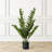 33"  Faux Money Tree in Pot Faux Tree