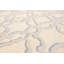 Tapis de la zone en laine 8 pi x 12 pi beige à la main one-of-kind noué la Aniq