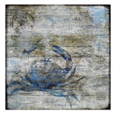 Against The Tide I Print by Sofia Fox