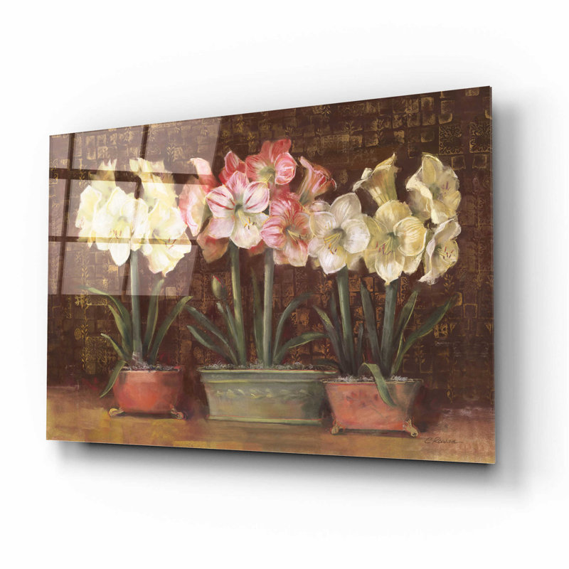 "Amaryllis On Brown" par Carol Rowan, H 12 po x l 16 po x P 0,13 po