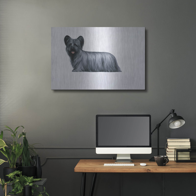 «Sky Terrier» par Harro Maass, H 24 po x l 36 po