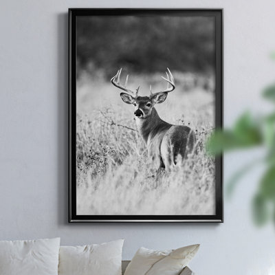 " Grasslands " by J Paul