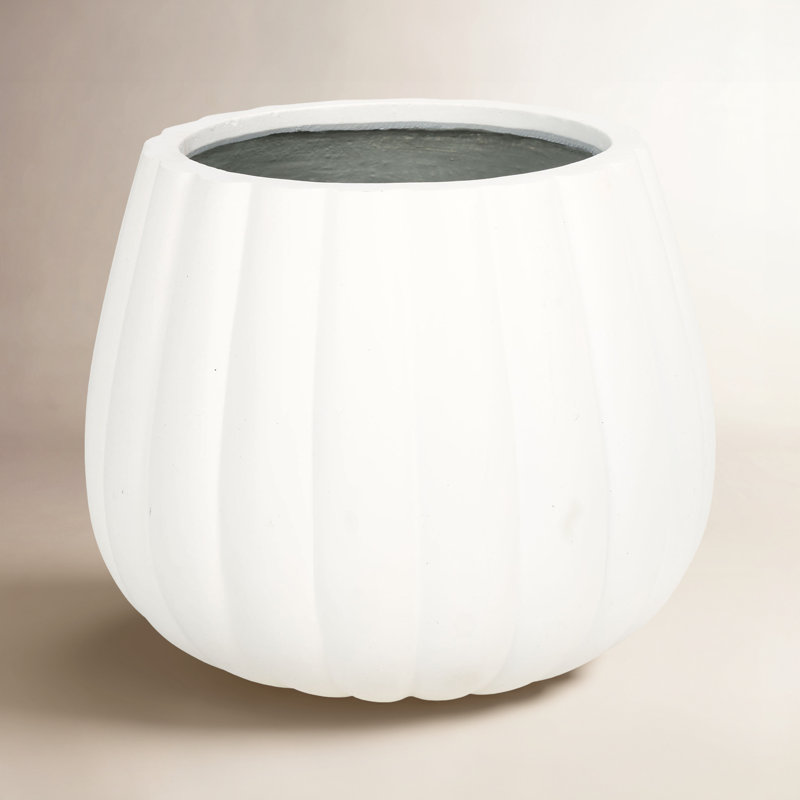 Prussia Concrete Pot Planter, White