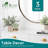 Tabletop Tree