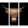 Scottish Highland Cattle VIII - 3 Piece No Frame Print on Float Glass