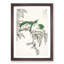 Three Warbling White-Eye Birds by Numata Kashu - Picture Frame Painting Print-55769286-55769285