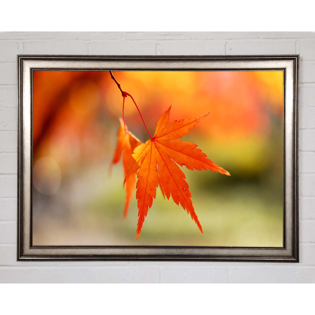 Orange Leaves Sparkle - Einzelner Bilderrahmen Kunstdrucke