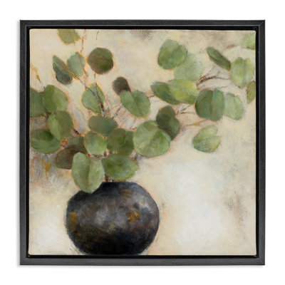 Feuilles d'eucalyptus vertes en pot