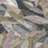 Machine Washable Indoor/Outdoor Jourdan ACN2383 Floral Rug-1447373417