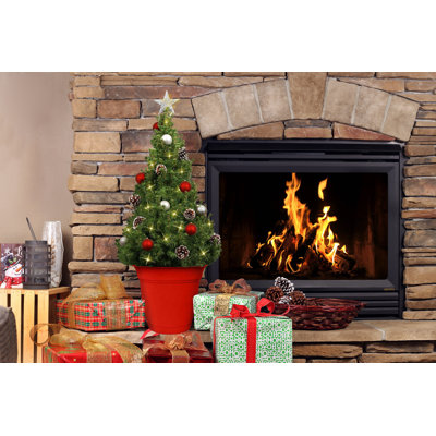 36' Lighted Spruce Christmas Tree