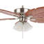 Herwarth Ceiling Fan with Light Kit