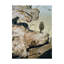 «Driftwood» par Etelca, impression sur toile tendue-27646727